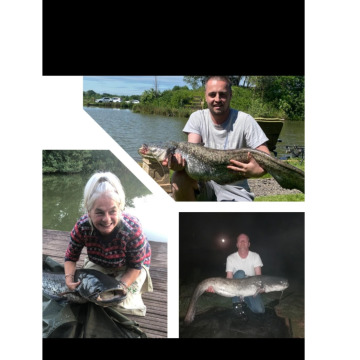 Photo for notice William John DENNIS