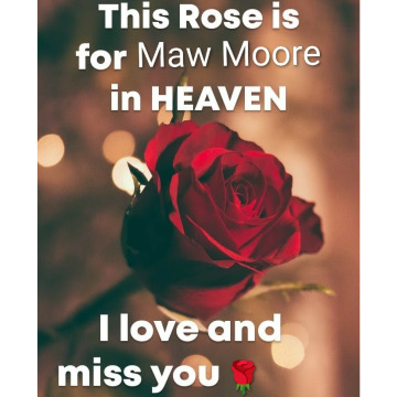 Photo for notice Alison MOORE