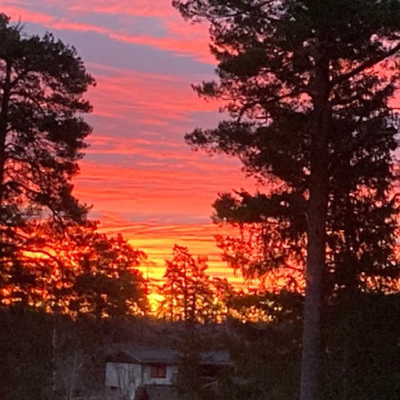 Photo of Kenneth DUNSMORE