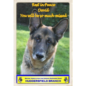 Notice Gallery for David HIRST