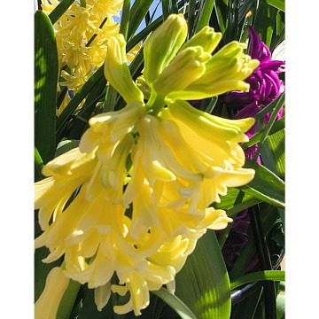 Photo for notice Clarice WINKS