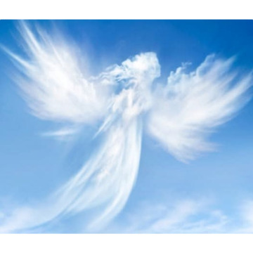 Photo for notice Sandra Ann BRUMWELL