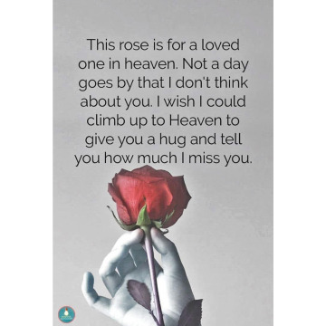 Photo for notice Sandra Ann BRUMWELL