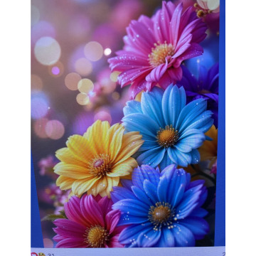 Photo for notice Ivan John DEXTER