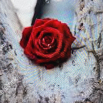 Photo for notice Ivan John DEXTER