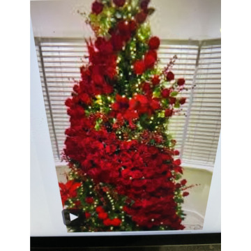 Photo for notice Ivan John DEXTER