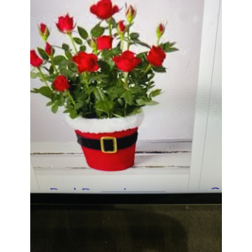 Photo for notice Ivan John DEXTER