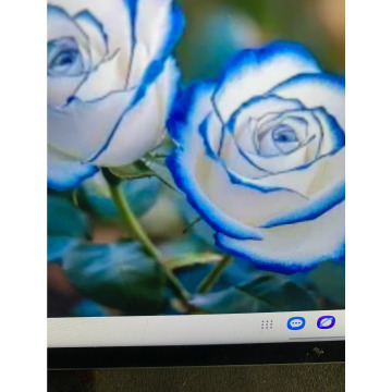 Photo for notice Ivan John DEXTER