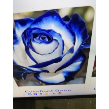 Photo for notice Ivan John DEXTER