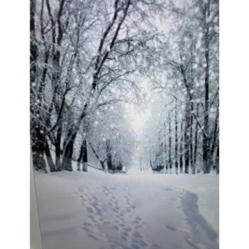Photo for notice Ivan John DEXTER