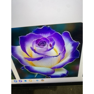 Photo for notice Ivan John DEXTER