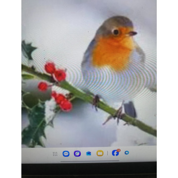Photo for notice Ivan John DEXTER