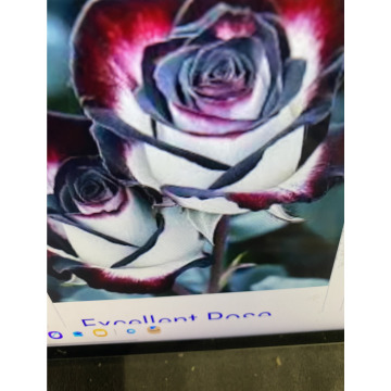 Photo for notice Ivan John DEXTER