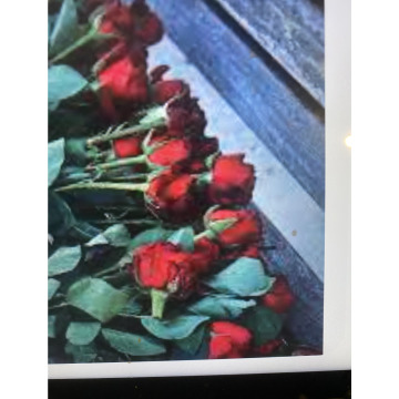 Photo for notice Ivan John DEXTER