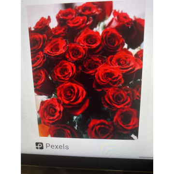 Photo for notice Ivan John DEXTER