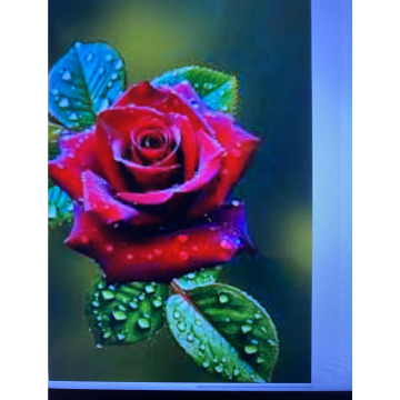 Photo for notice Ivan John DEXTER