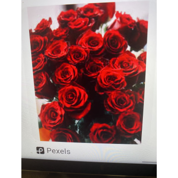 Photo for notice Ivan John DEXTER