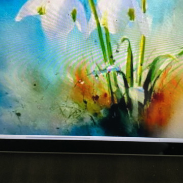 Photo for notice Ivan John DEXTER