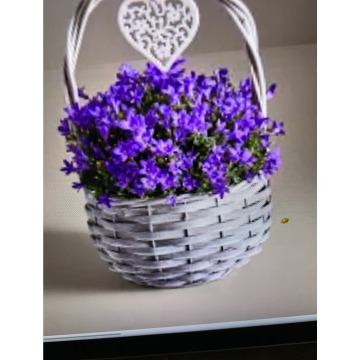 Photo for notice Ivan John DEXTER