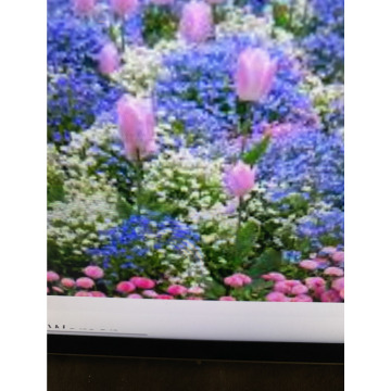Photo for notice Ivan John DEXTER