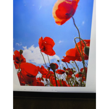 Photo for notice Ivan John DEXTER