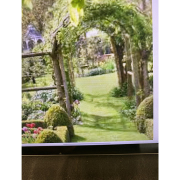 Photo for notice Ivan John DEXTER