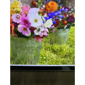 Photo for notice Ivan John DEXTER