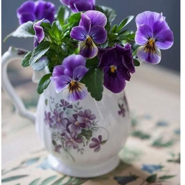 Photo of Lila Maria WILLIAMS