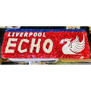 Notice Gallery for Kenneth IRELAND