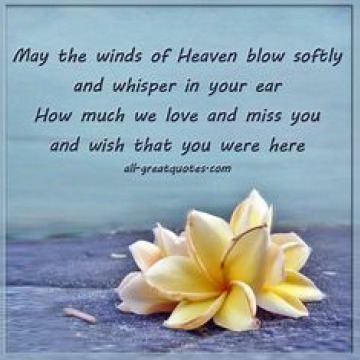 Notice Gallery for Doreen Ann HALL