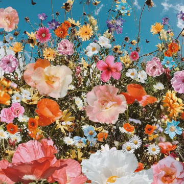 Notice Gallery for Doreen Ann HALL