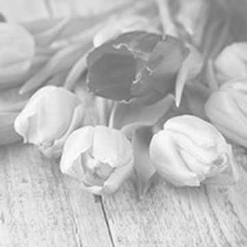 Photo of Brenda HILTON