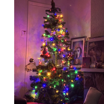 Notice Gallery for Dorothy Eileen DERRY