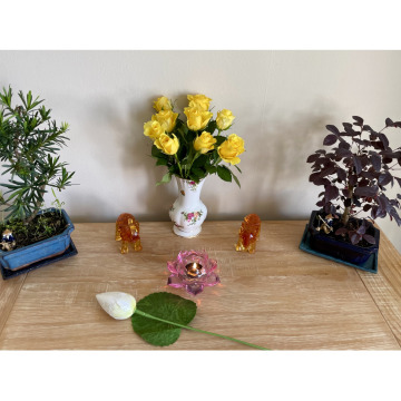 Notice Gallery for Irene Ann GOODLAND