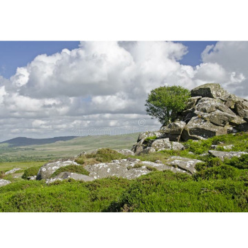 Notice Gallery for Meirion WILLIAMS