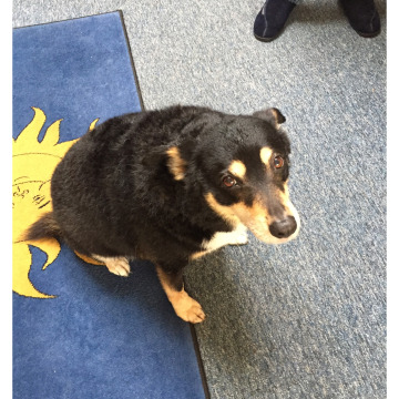 Notice Gallery for Maureen WATTS