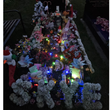 Notice Gallery for Skye Vienna WILSON-HILL