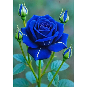 Photo for notice Linda HAMILTON