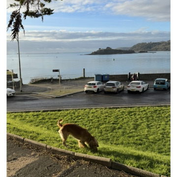 Photo for notice Calvin EDWARDS