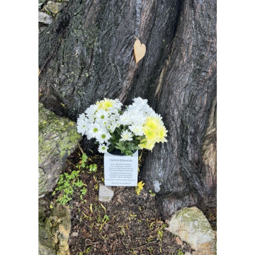 Photo for notice Calvin EDWARDS