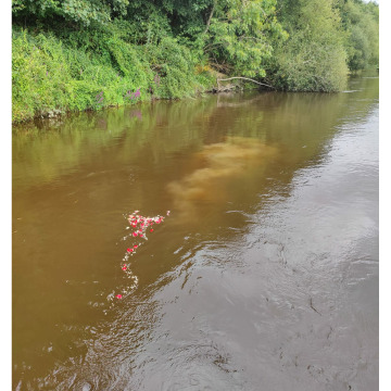 Notice Gallery for Vernon CLAYTON