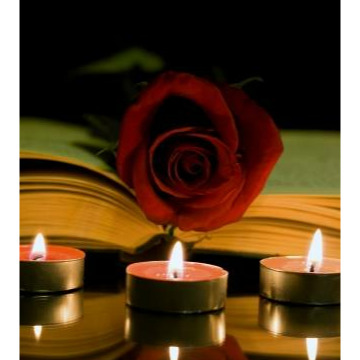 Notice Gallery for Margaret Elizabeth Rose BRYANT