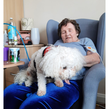 Notice Gallery for Pat ALCOCK