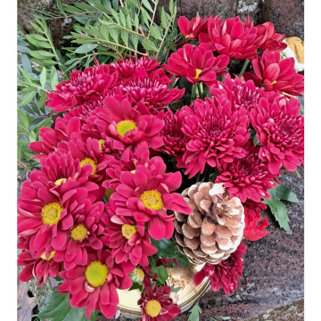 Photo for notice Mark COOPER