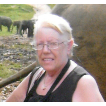 Notice Gallery for Jan HENSON