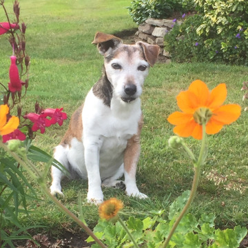 Notice Gallery for Doreen WATKINS