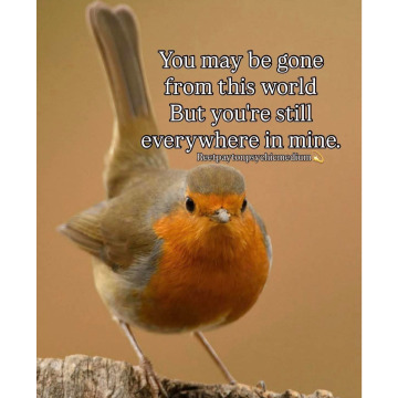 Photo for notice Linda FYFE (WHITE)