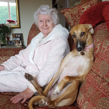 Notice Gallery for June WOOLDRIDGE