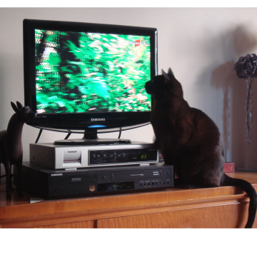 Notice Gallery for John Arthur THOW