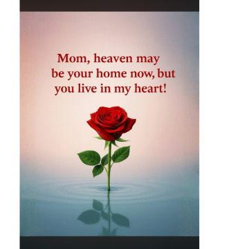 Photo for notice Jean COSIER